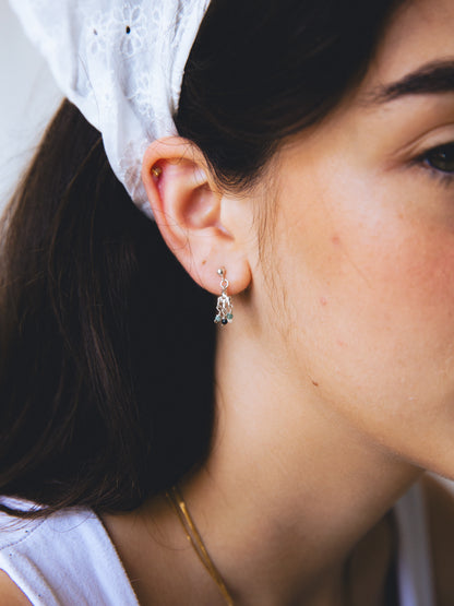 Crystal Drops Earrings