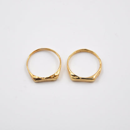 Two gold rings on a white background